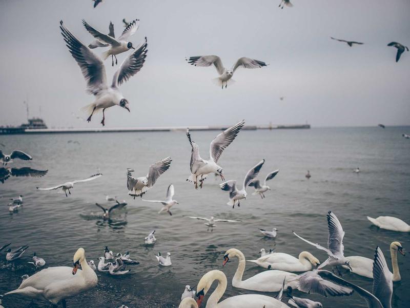 sudoku game no download screenshot 5