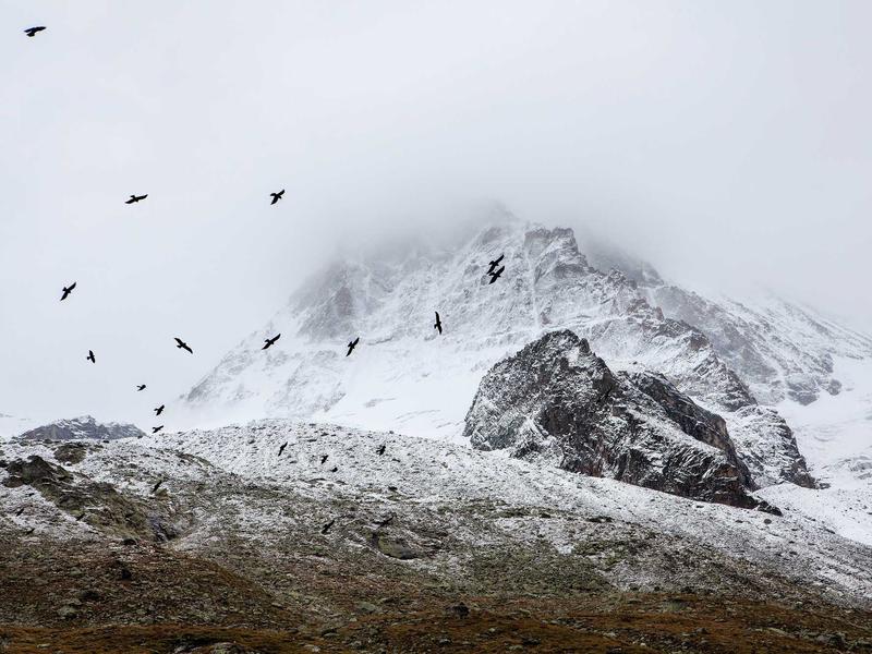 sudoku pattern learning screenshot 1